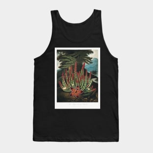 The maggot bearing Stapelia Tank Top